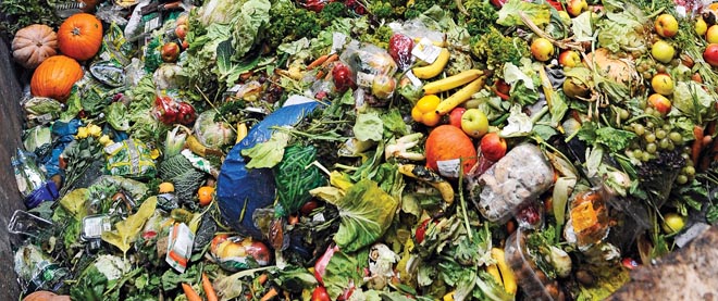 Food waste is one problem that Canadian consumers and farmers face. Photo credit www.mcleans.com