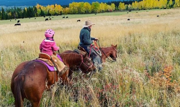 Cattle ranchers look towards sustainability for the next generation