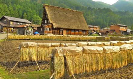 Biotech ruling could change global farming