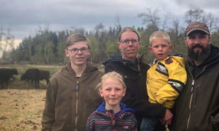 Sustainability is part of the big picture on this farm