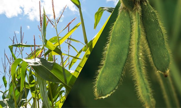 Crop swing expected for Southern Ontario