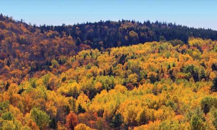 Spotlight on students at Dalhousie University’s Faculty of Agriculture