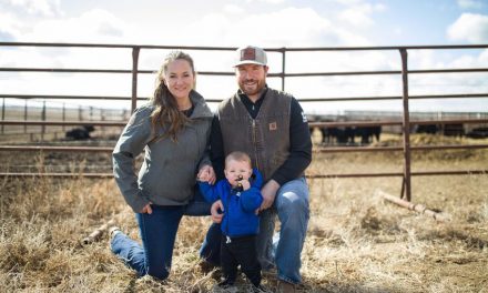 Grasslands have an important role in food chain for cattle