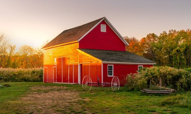 Home alone in rural Ontario