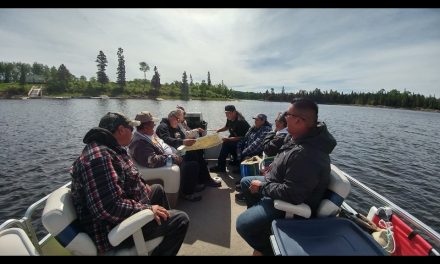 Wild rice comeback eyed by Indigenous harvestors