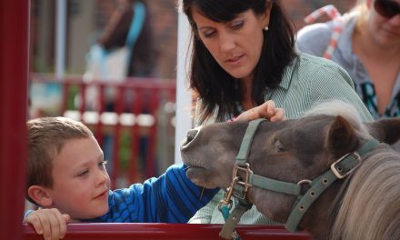 Be ready for agritourism to skyrocket this year