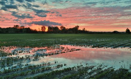 Farmers deserve a break for matters beyond their control