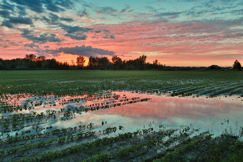 Farmers deserve a break for matters beyond their control