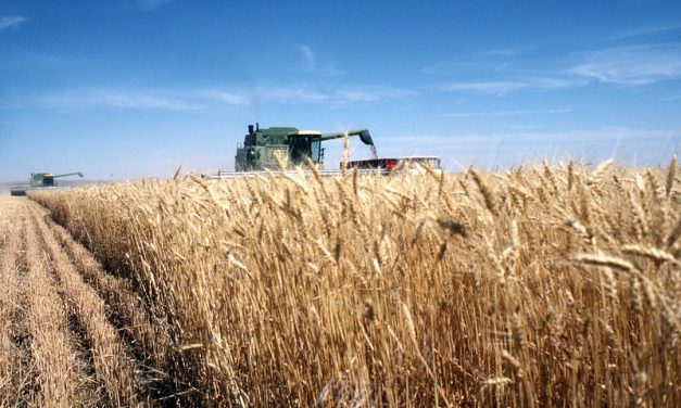 Demand, production and exports during COVID-19