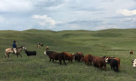 Quality assurance program verifies sustainability practices