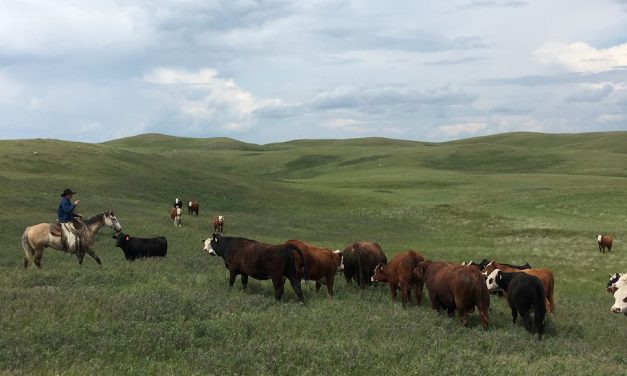 Quality assurance program verifies sustainability practices