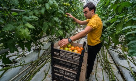 Need to promote, educate and automate to address worker gap