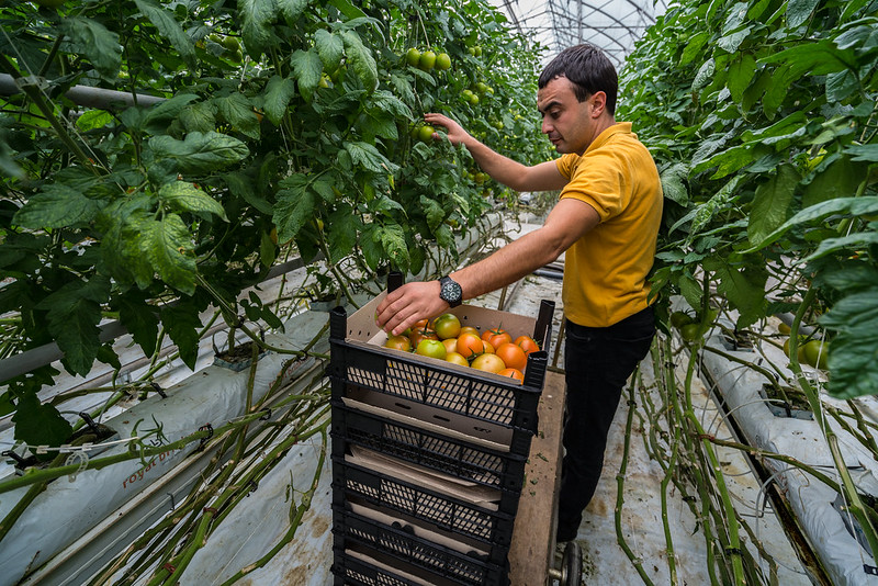 Need to promote, educate and automate to address worker gap