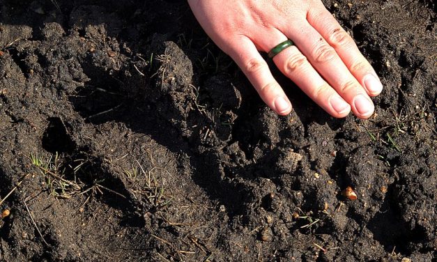 Maybe the pandemic means soil will get some respect