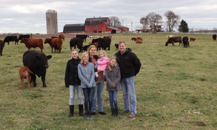 Healthy soils grow hardier pastures for this family