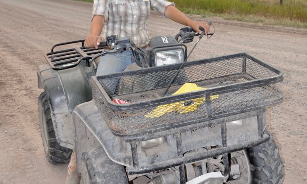 Young women feel stymied in agriculture