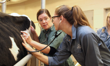 Province addresses the dire need for more veterinarians