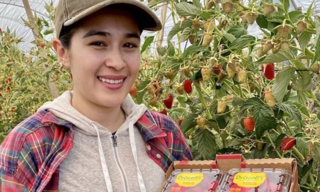 For now, Mexican fruit growers have reason to smile