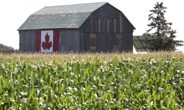 New report calls for big changes in farming support