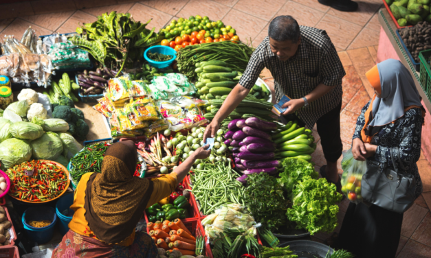 Resilient food systems need to absorb future shocks