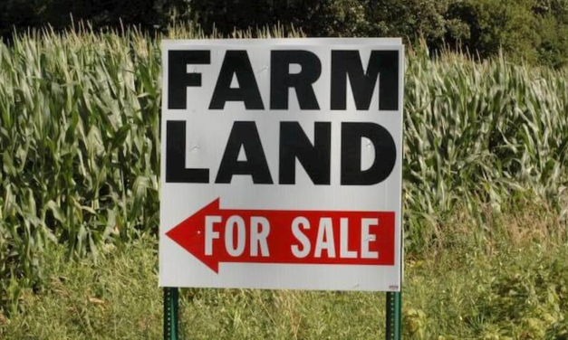Who has the right to own farmland?
