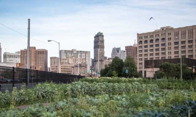 Even Detroit is trying to protect its farmland
