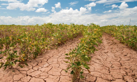 Climate change damage to farmers is “crystal clear”