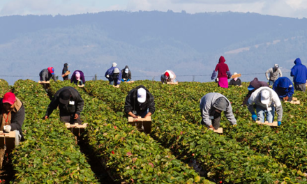 Worker program deserves the welcome mat