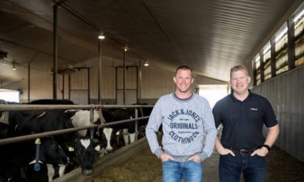 Ear tag sensor-based feed program field tested on Canadian dairy