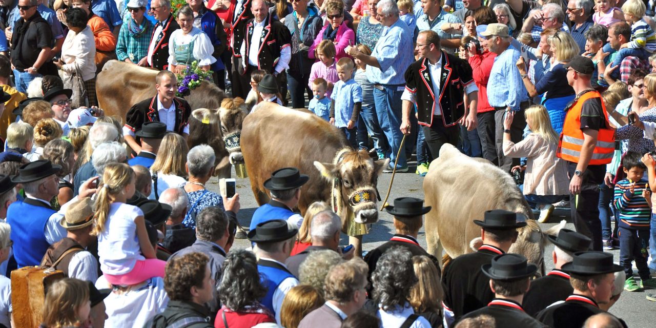 Swiss food security vote: because you can’t live on chocolate alone