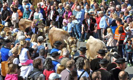 Swiss food security vote: because you can’t live on chocolate alone