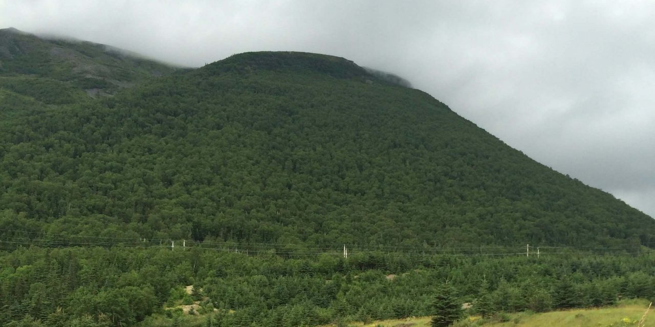 Having a mess of fun on a quick trip to Newfoundland