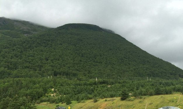 Having a mess of fun on a quick trip to Newfoundland