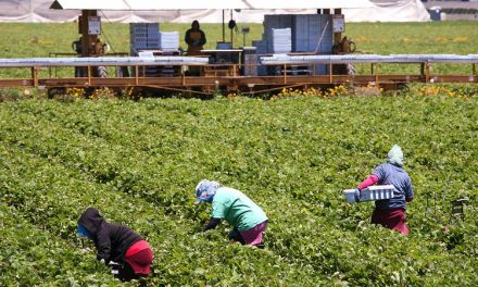 Farm journalism training program underway in Latin America