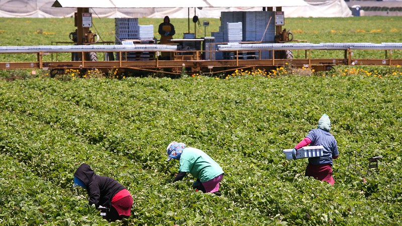 Farm journalism training program underway in Latin America