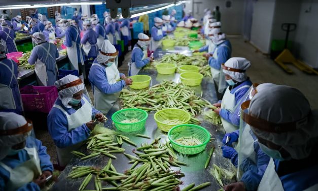 Oh baby! Baby corn is a versatile, stir-fry superstar