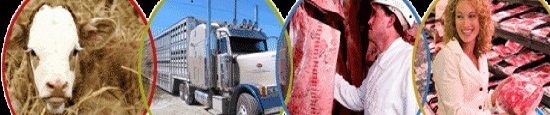 Farmers, not corporations, will decarbonize the food system