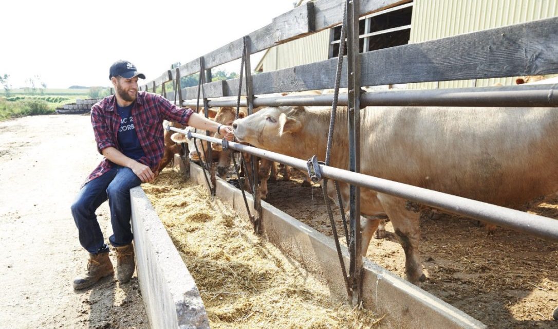 Checking in on the neighbourhood beef farmers