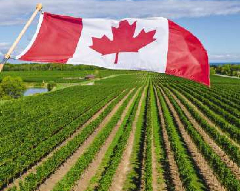 When food and farming gives you that “Oh Canada” feeling