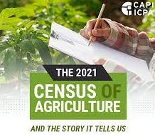 2021 Census of Agriculture: Grains and oilseeds grab a share of the spotlight