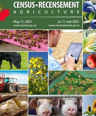 Big farms and small farms are growing