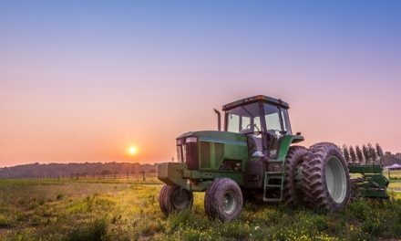 As land gets scarce, farmers turn further to new technology