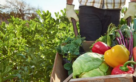 We need Food Day Canada more than ever.