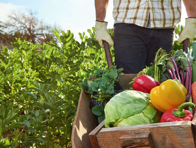 We need Food Day Canada more than ever.