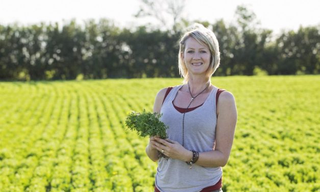 Checking Canada’s pulse for lentils