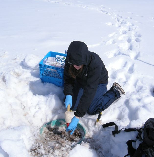 Canada’s turn for leading-edge microbiome research