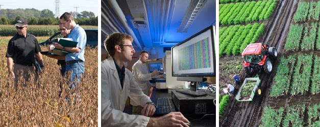Record farm profitability masks drop in research