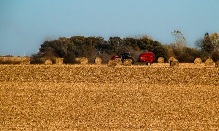 Whisked away for a prairie farm weekend