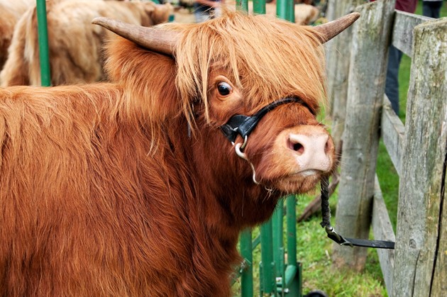 Cultured meat isn’t weird… to a 14 year old