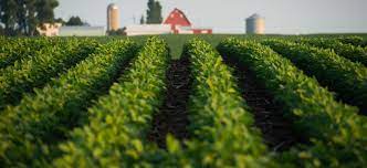 Fertilizer cut plan pulls the rug out from under farmers’ feet